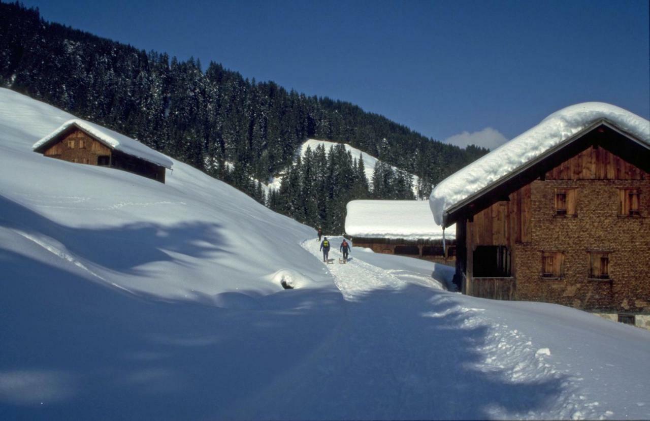 Haus Stabentheiner Διαμέρισμα Au (Vorarlberg) Εξωτερικό φωτογραφία