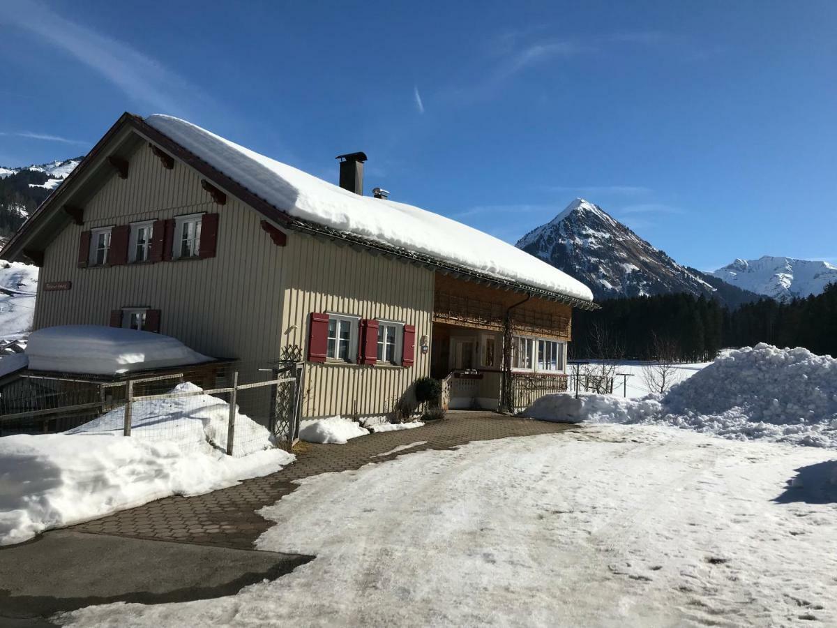 Haus Stabentheiner Διαμέρισμα Au (Vorarlberg) Εξωτερικό φωτογραφία